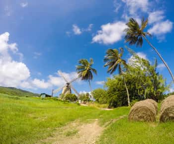 Barbados Highlights Tour