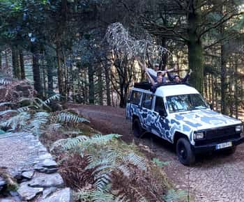 Madeira: 4 uur klassieke jeeptour in centraal Madeira