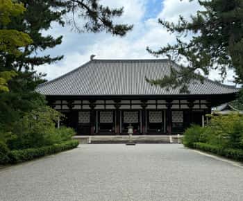 Nara: Weltkulturerbe Yakushi-ji & Toshodai-ji in 3 Stunden