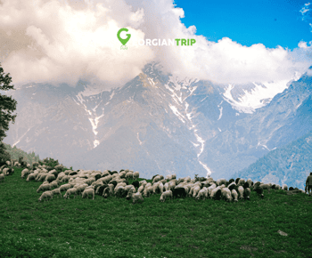 Kazbegi tour