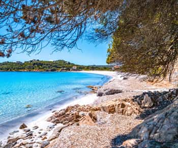 Da Santa Teresa Gallura: passeio em motonave a La Maddalena