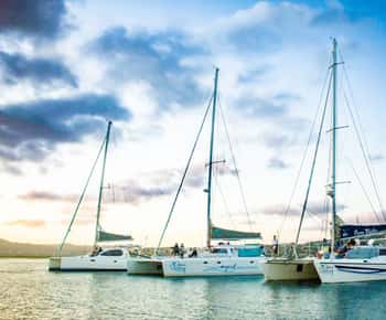 Knysna: Luksus tur med katamaran og marine eventyr