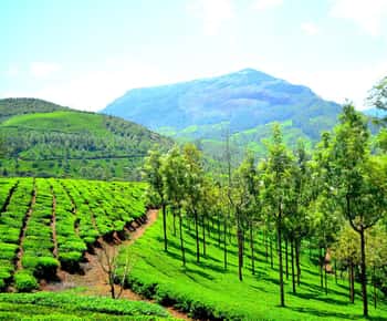 5 Nights / 6 Days Munnar & Ooty Bike Ride Tour
