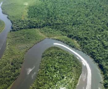 Iquitos Jungle 3 days
