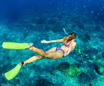 Bali: Blue Lagoon & Tanjung Jepun Snorkeling & lunch