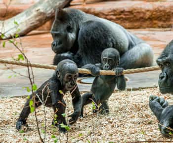 Prague Zoo: Skip-the-Line Entry Ticket