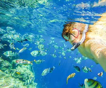 Puerto Plata: Snorkeling Excursion to Sosúa Bay