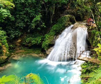Ochos Rios: Dia inteiro em Dunn's River e Blue Hole com almoço