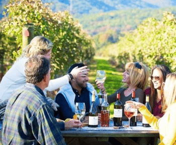 Santiago: Degustação de vinhos do Vale do Maipo em 4 vinícolas
