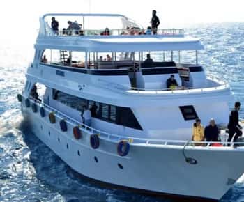 Sharm El Sheikh: Ras Mohamed & White Island Dive & Snorkel