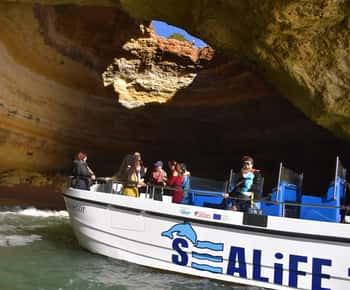 De Lagos: Gruta de Benagil e Cruzeiro Costeiro em Catamaran
