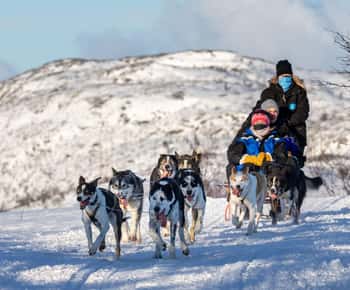 Rovaniemi: Santa's Village, Husky, & Reindeer Sled Ride