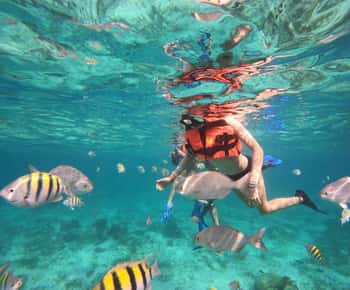 Isla Mujeres: Snorkelen bij het Onderwatermuseum