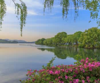 Hangzhou: West Lake and Tea Plantation Day Trip