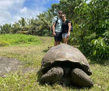 Galápagos: Tartarugas Gigantes, Túneis de Lava e Crateras