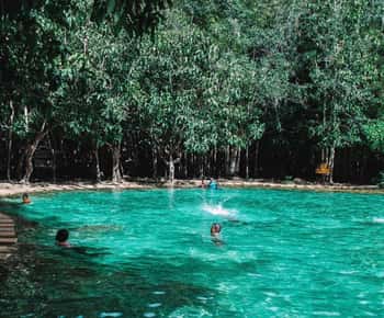 Emerald pool - varme kilder - tigerhule med VIP-bil