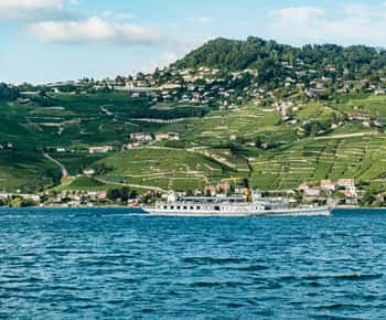 Lausanne: Cruzeiro de 3 horas pela Riviera e Região de Lavaux