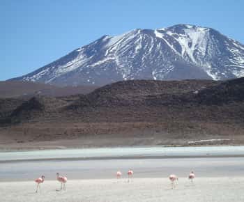 San Pedro de Atacama : 3 J. Tour Uyuni et retour à San Pedro
