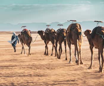 De la Marrakech la deșertul Zagora: excursie de o zi prin Ait Benhadou