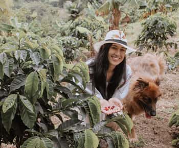 Medellín: Coffee and native bees experience