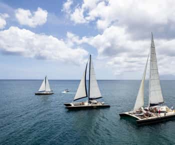 Basseterre: Kitts Nevis Dagskatamaran - Snorkling og frokost