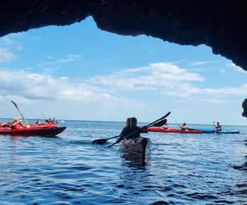 Torquay: Wildlife, Bushcraft and Sea Cave Kayak Safari