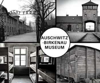 Auschwitz-Birkenau: Inträdesbiljett till museet med guidad tur