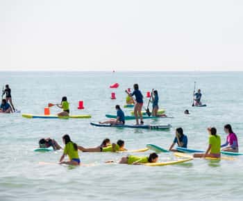 Surf lessons