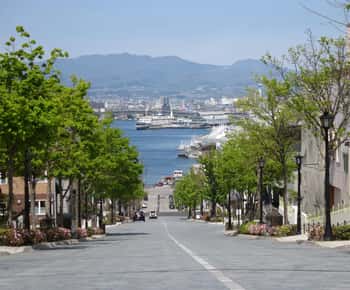 Hakodate: a half-day tour with Government Licensed guide