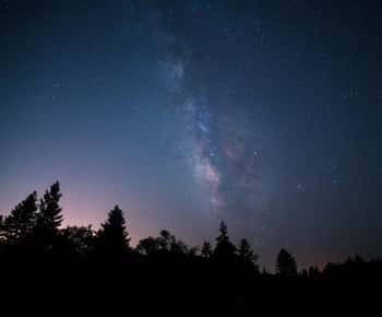 Mendocino County: Moonlight Railbike Tour