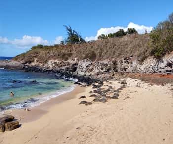 Maui: Halfway to Hana Black Sand Beach & Turtles Tour