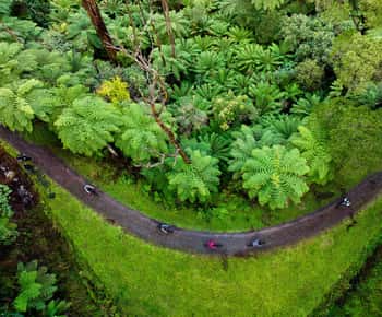 Warburton: Mountainbike-äventyr i Redwoodskogen
