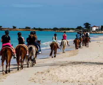 Montego Bay: Passeio a cavalo, tubing e Dunn's River Falls