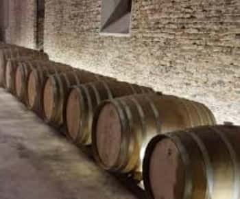 Cerros de San Juan: tour della cantina più antica con pranzo e trasferimento