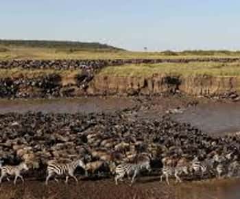 4-Day Tanzania Safari affordable mid range lodge safari