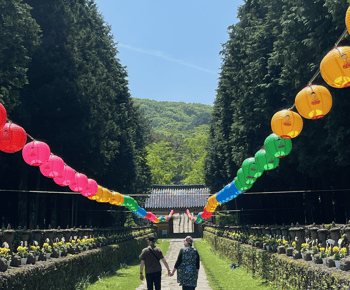 Jeju: Highlight Customized Private tour with Expert Guide