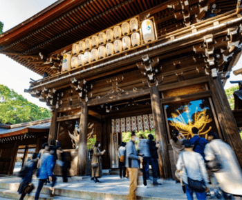 Tokyo Pop Culture & Tradition Tour: Meiji Shrine to Harajuku