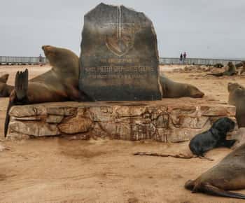 Skeletkust: Cape Cross en Henties Bay Rondleiding