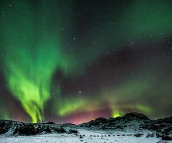 From Reykjavik: Northern Lights Tour with Lifetime Guarantee