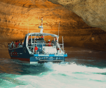 Lagos: Delfin & Benagil Tour mit Meeresbiologe