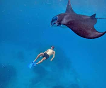 From Bali: Snorkeling 3 Spots with GoPro & West Penida Tour