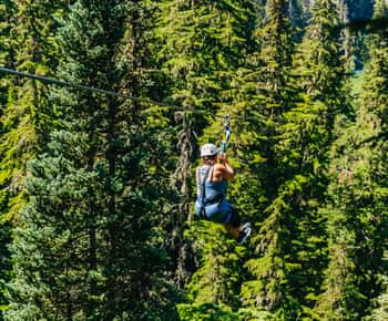 Whistler: Ziplining Experience