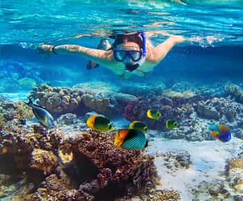 Pigeon Island Snorkeling Tour from Uppuveli Beach