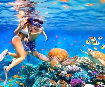 Bali: Snorkling Blue Lagoon 2 Spot with Lunch and Transport