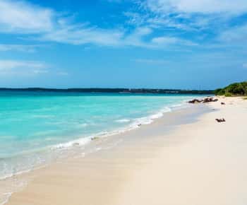 Dia inteiro na exclusiva praia tranquila de Baru com almoço