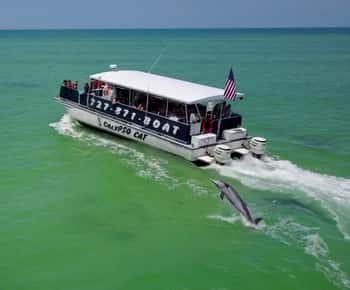 4 Hour Egmont Key Island Tour With Dolphins & Snorkeling
