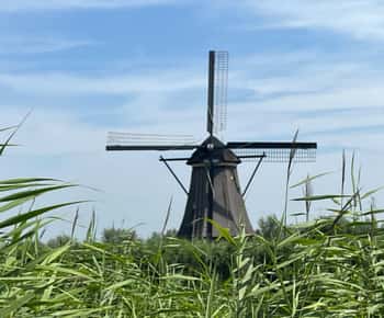 Visita a los Molinos de Viento de Kinderdijk, la Ciudad de Delft y la Fábrica Azul de Delft