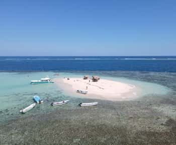 Tour particular à Ilha Paraíso