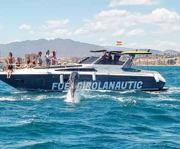 Fuengirola: Observarea delfinilor pe iaht cu gustări și băuturi