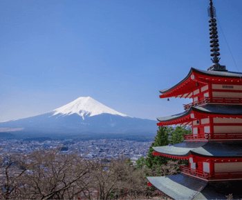 From Tokyo : Mount Fuji Private Day Tour with English Driver